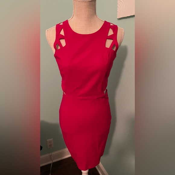 Jealous Tomato Dresses & Skirts - Jealous Tomato - fabulous bright raspberry cutout dress- Size M